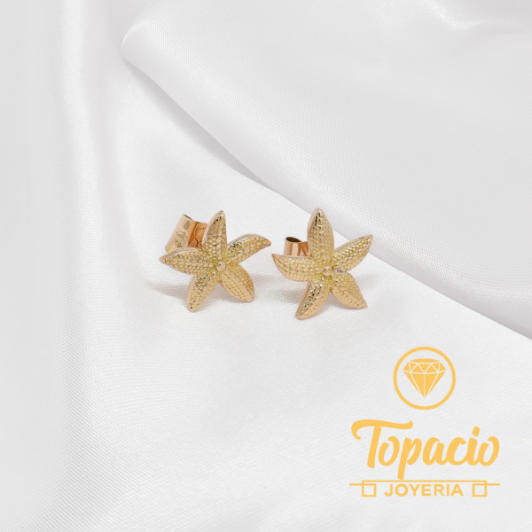 Arete Estrella de Mar 18K