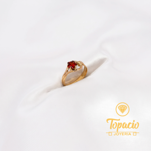 Anillo Cinturón con Flor 18K